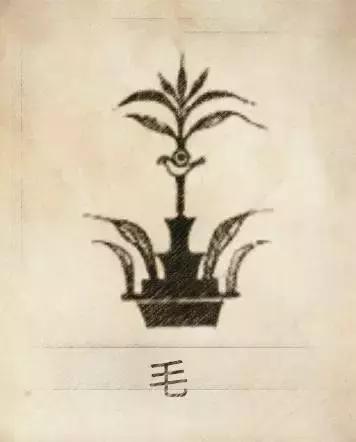 姓贾姓氏图腾高清大图,100个姓氏图腾张姓图腾