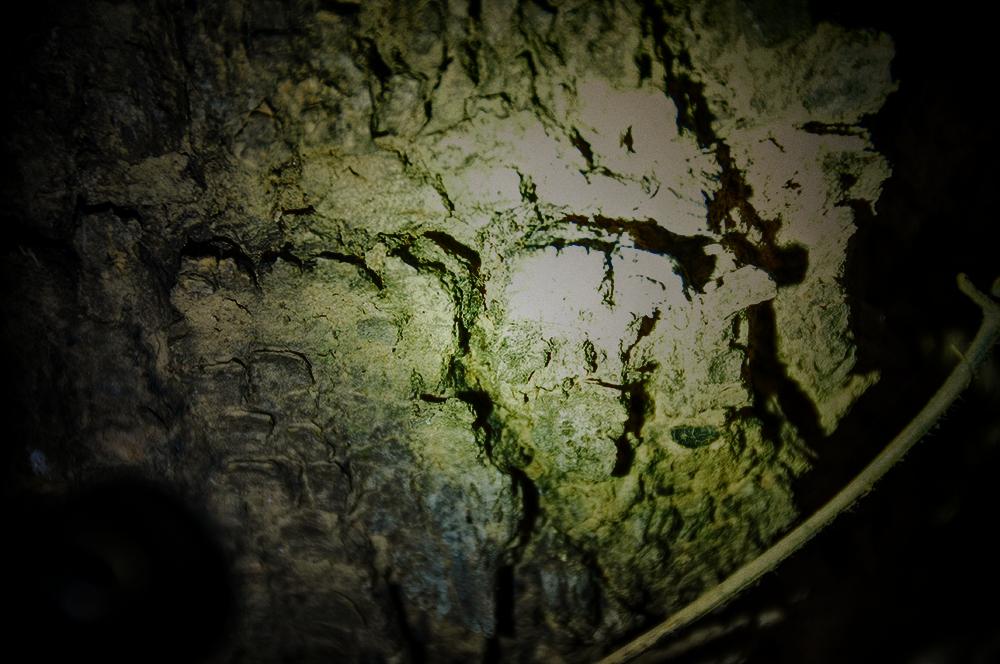 傲雷baton3评测,baton3手电筒首发评测