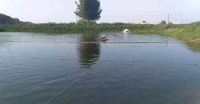 池塘浓黑水怎样调节水质,池塘水质浑浊怎么调节