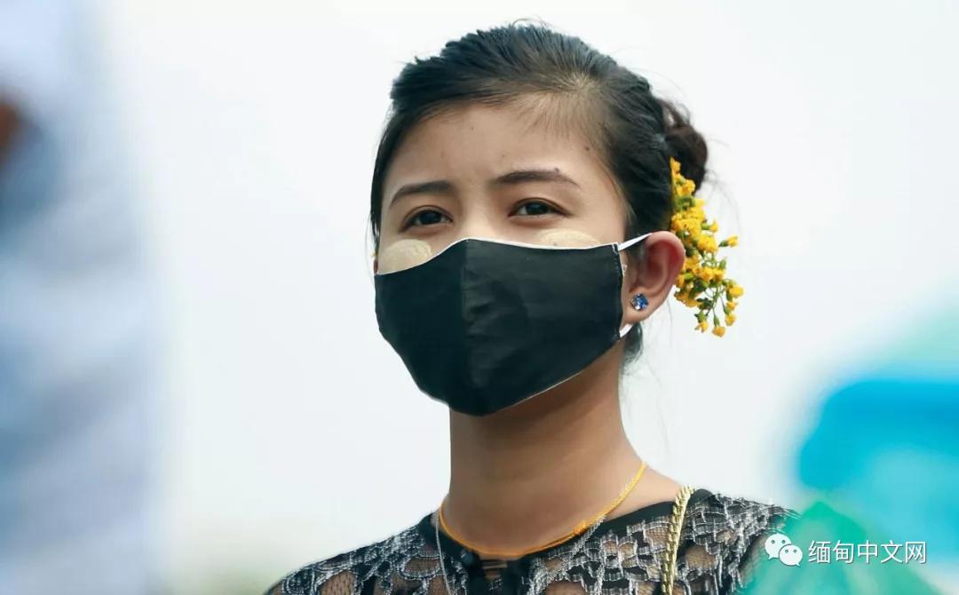 紫檀花开独一无二,紫檀花开了视频