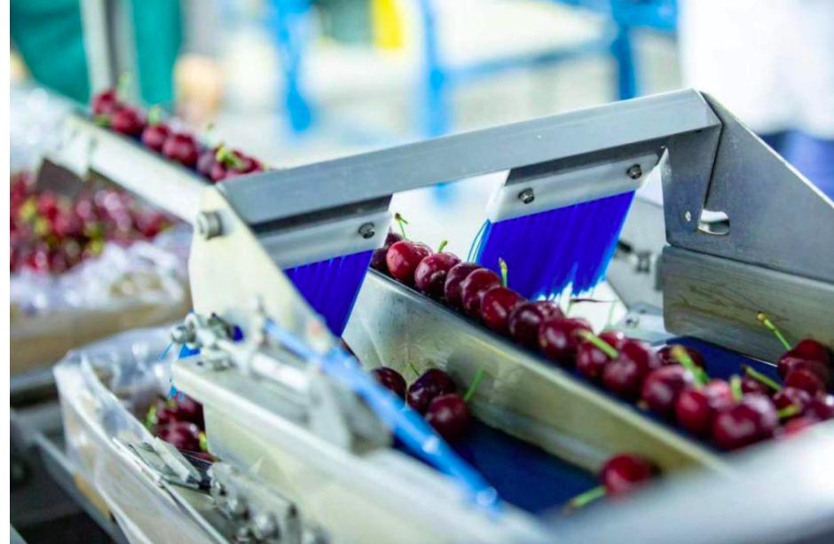 车厘子为什么比樱桃耐储存,车厘子是比樱桃更高端么