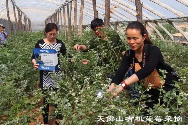 你好！我叫博山，这是我的简历......,转自博山微生活）