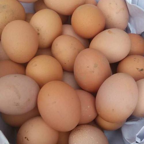 生鸡蛋能生吃吗,生鸡蛋能吃吗迷信说法