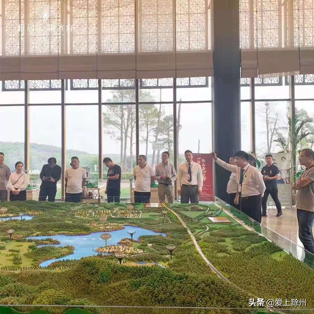 雅居乐品牌焕新,雅居乐有什么产品