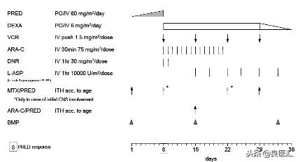 急性白血病的宝宝,儿童白血病健康科普