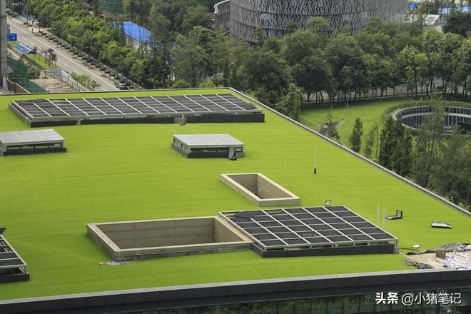 建筑绿化草坪,屋顶人造草坪施工全过程