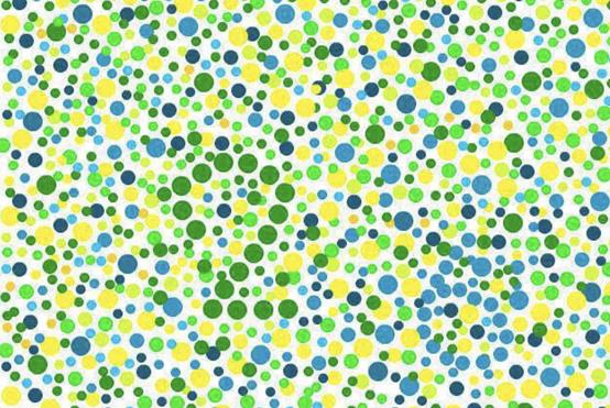 公认的六张色盲图,驾照常用的色盲图