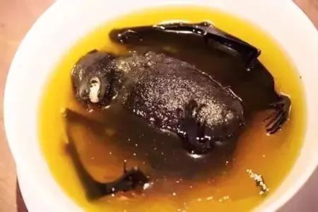 从A到Z，帕劳这个海岛国家远比你想象中更精彩