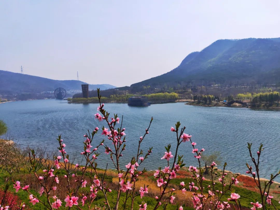 西郊山林休闲养生度假公园,休闲好去处西郊森林公园