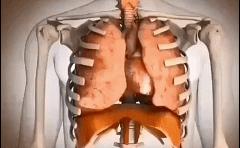 内脏下垂、子宫脱落、漏尿…今天和你一起说一说束腰的危害