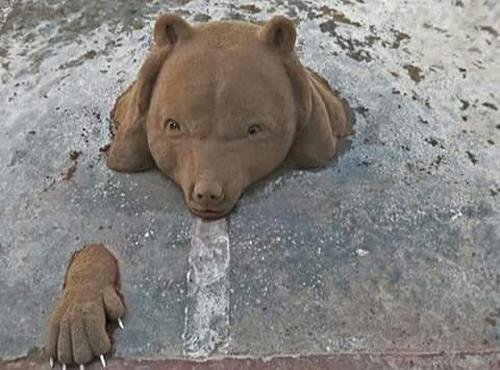 老外沙雕动物视频,外国人沙雕模仿动物