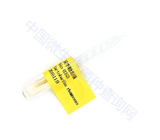 鼠李糖乳杆菌的作用是什么,鼠李乳杆菌和嗜酸乳杆菌哪个好