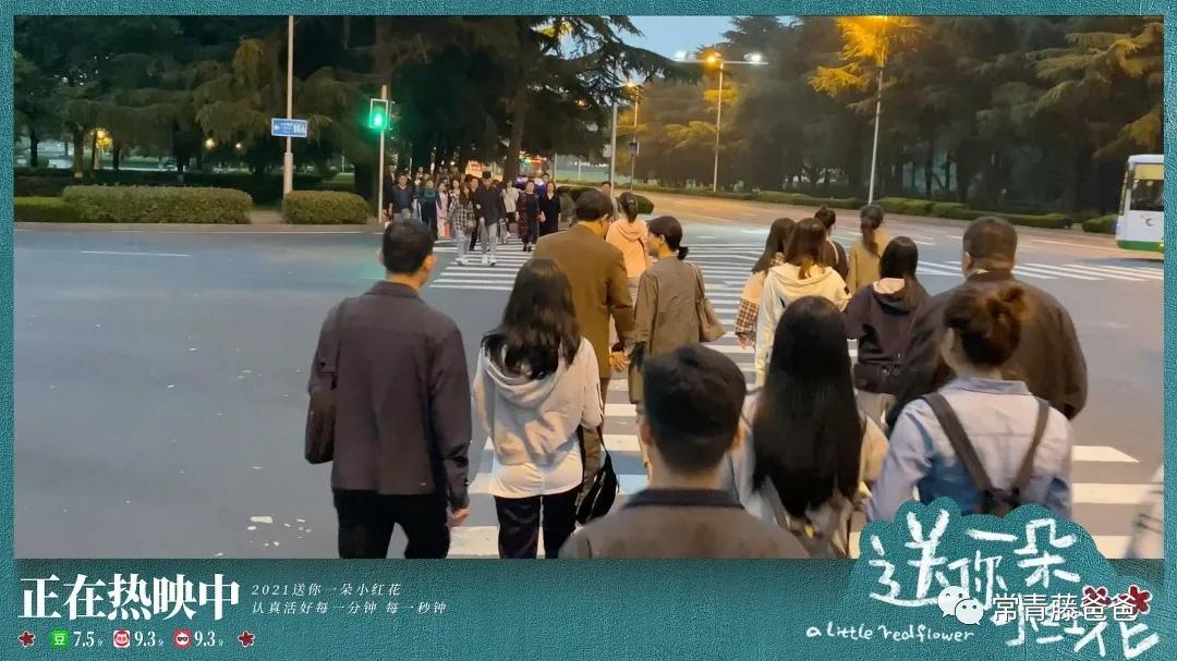 送你一朵小红花感受命运的安排,送你一朵小红花告诉我们什么道理