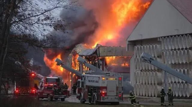 一养鸡场60万只鸡被淹死,养鸡场7000只活鸡暴死