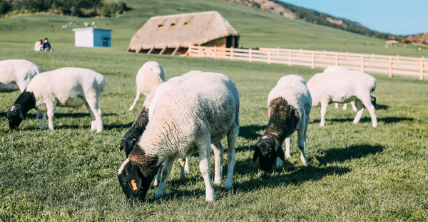 旅居4年,旅居的第四个月