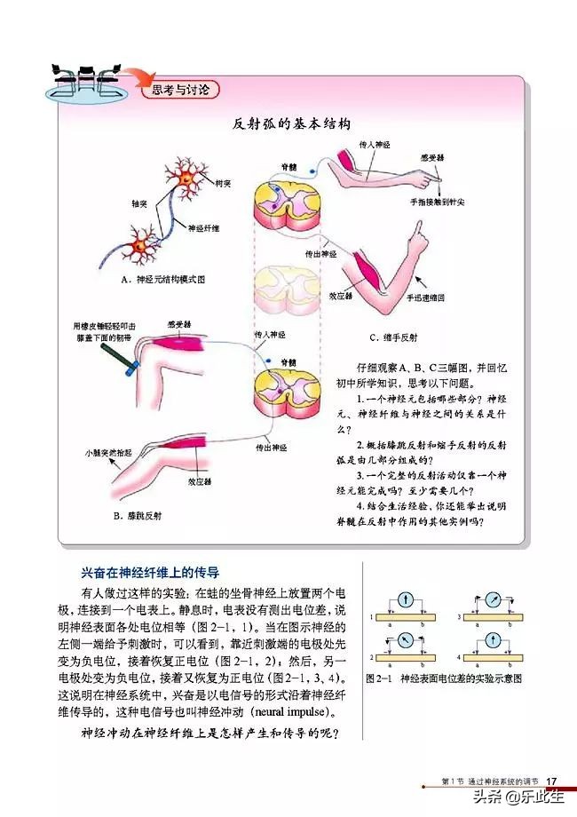 高中生物必修3电子教材,必修三稳态与环境的知识点人教版