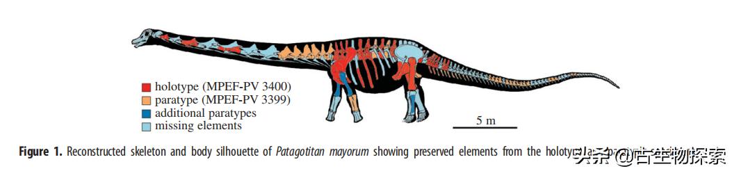 泰坦龙是最大的恐龙吗,世界上最高的恐龙是泰坦巨龙吗