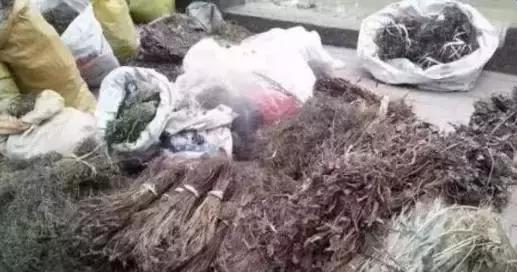 罗定农村人山人海,罗定人山人海