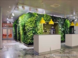 室内绿化小品,室内绿化造景小知识