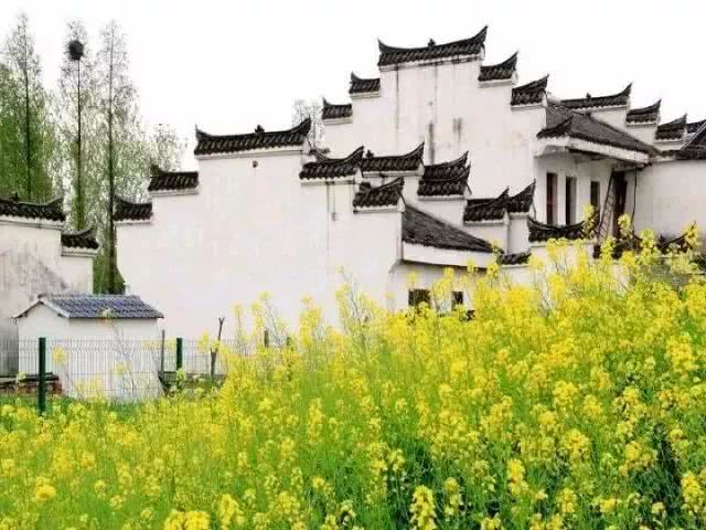 武汉21个免费景点,武汉43个免费景点出炉