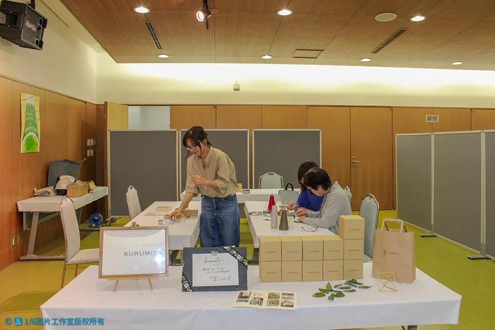 日本的茶博物馆,日本茶之都茶道体验