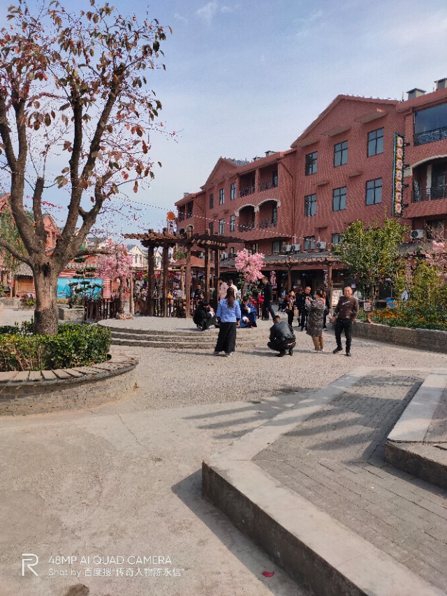 只招商不卖货,只招商不养商