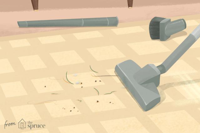 消灭跳蚤有什么特效药,消灭99.99%的跳蚤