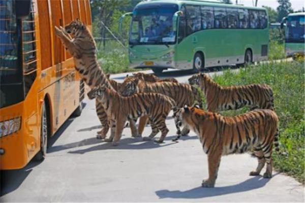 上海值得带孩子去玩的地方,上海适合8个月宝宝玩的地方