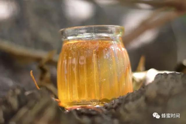 1瓶蜂蜜=1个小药箱！20种小问题完美解决
