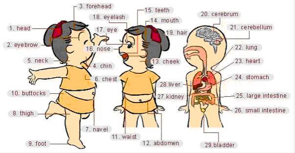 30张场景单词图，教你记住高频生活词（建议收藏）