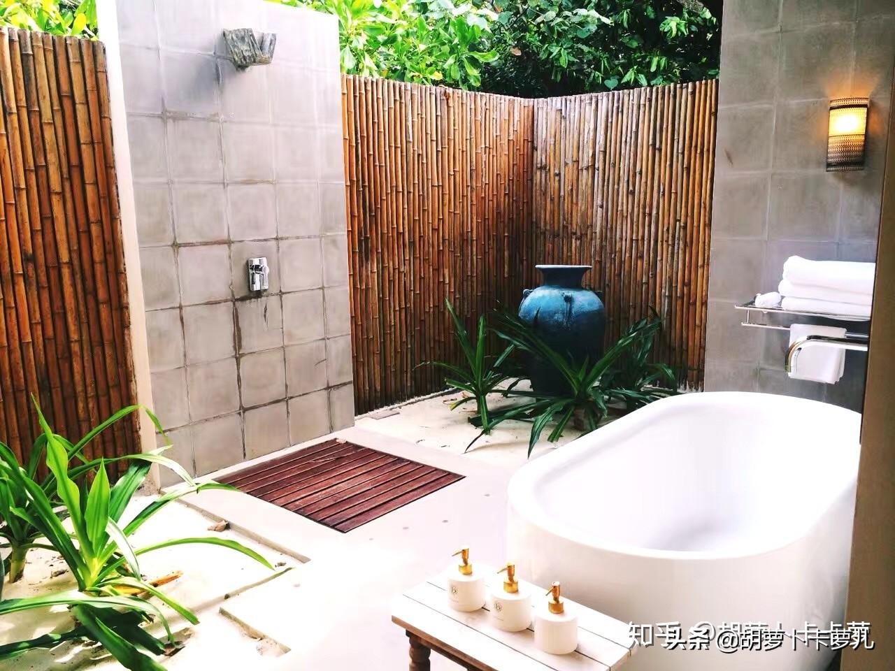 马尔代夫选岛教程,马尔代夫选岛app