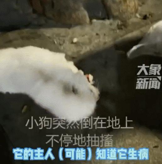 b站必看的综艺,b站能看的综艺推荐