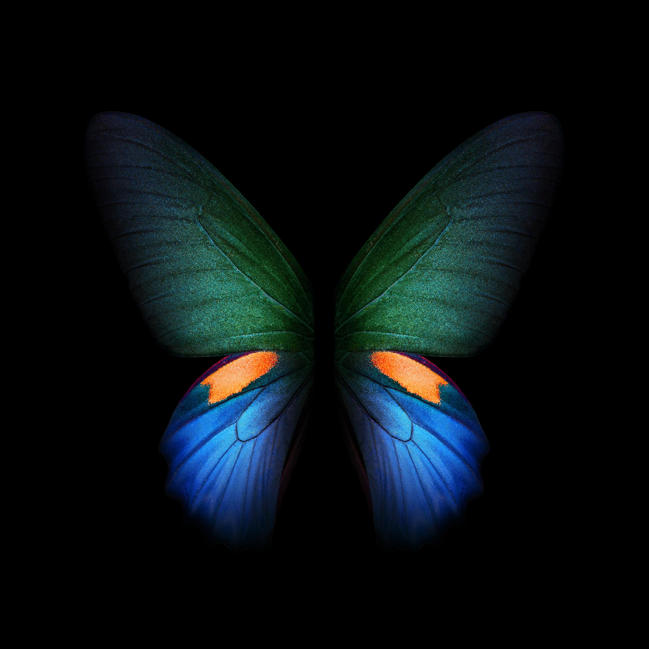 三星fold3tb联名版主题壁纸,三星fold顶级绝美全屏壁纸