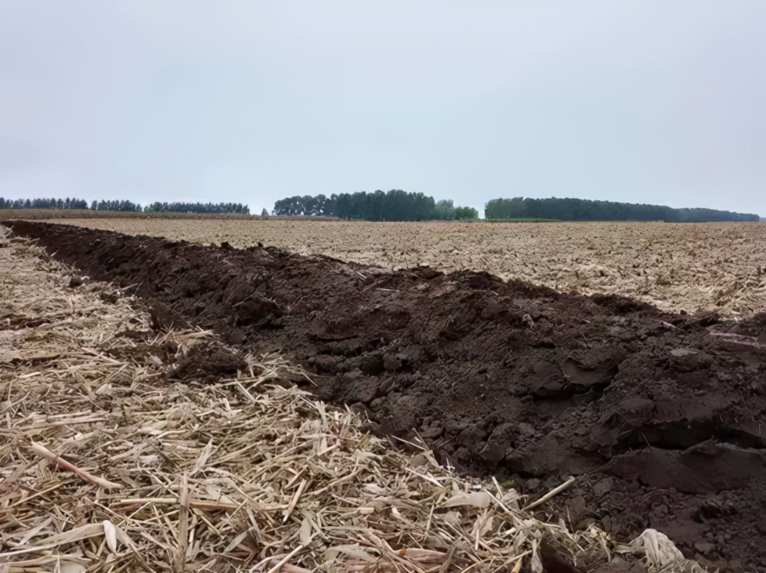 鹤岗市区清晨六点钟,鹤岗5路车几点发车