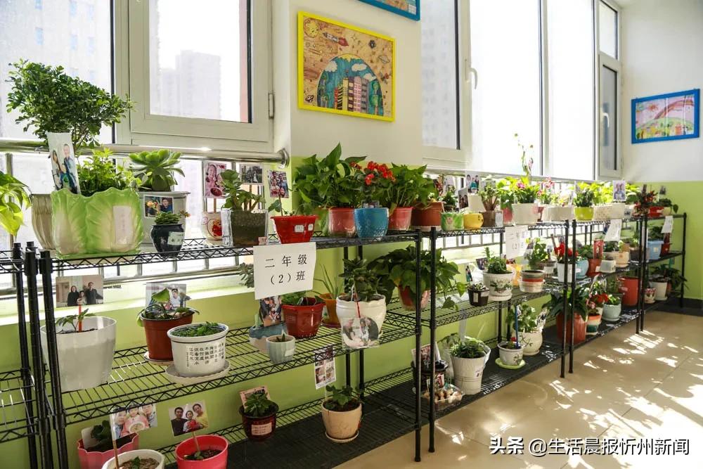 长征小学升旗视频,忻州市长征小学西校区简介