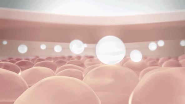 瀛姿堂,姿美堂胶原蛋白肽酵素