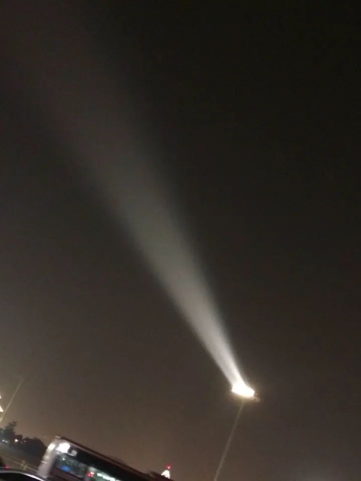 真相来了完整版电影,真相来了视频大全