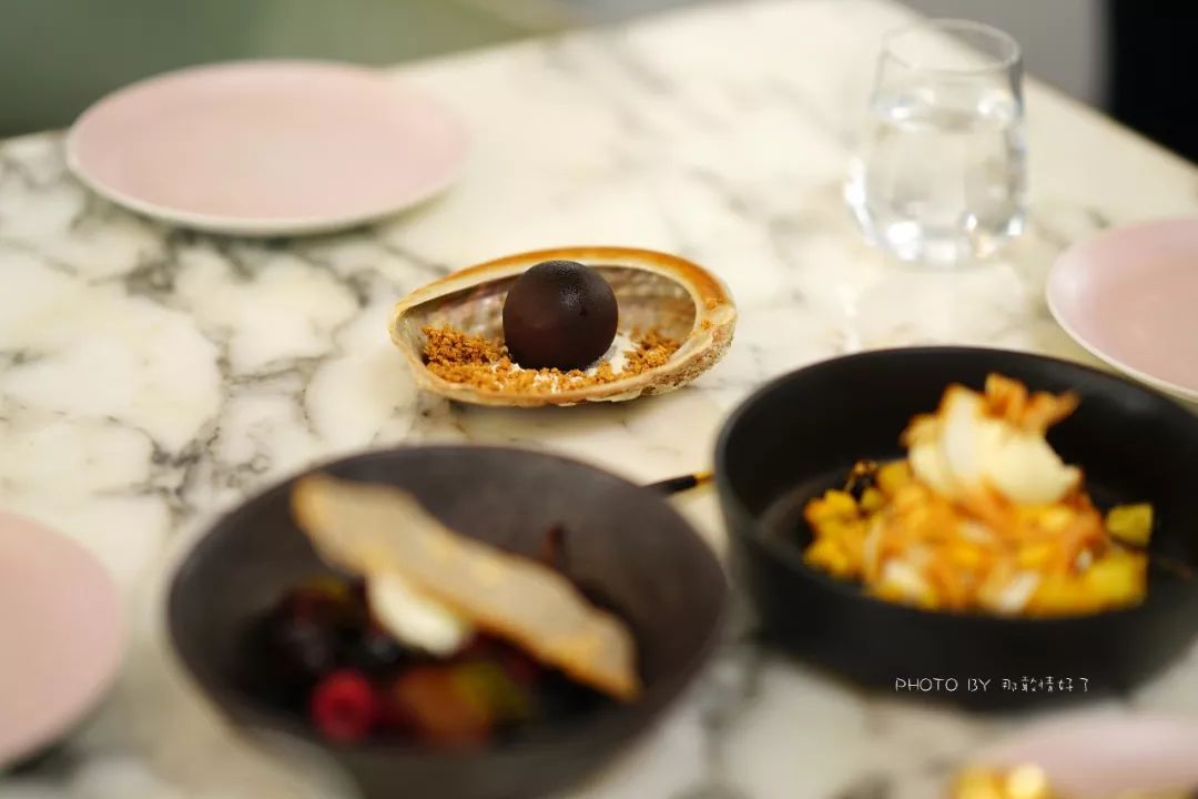 去哪里旅游可以看南极企鹅,旅游攻略南极看企鹅