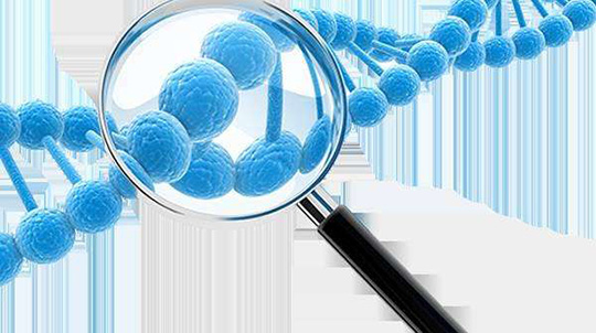 最新八大盈利模式解析,恭喜你成功入坑图解