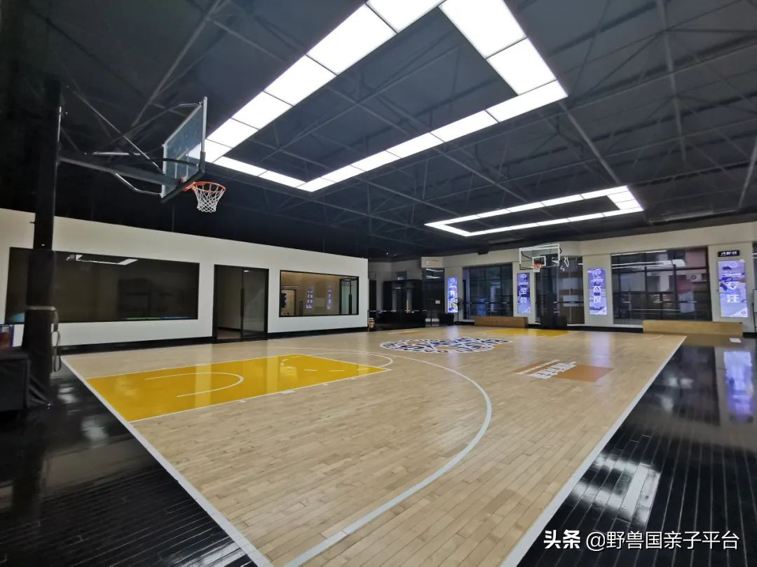 少儿篮球运动哪家好,权威少儿篮球兴趣班机构排名