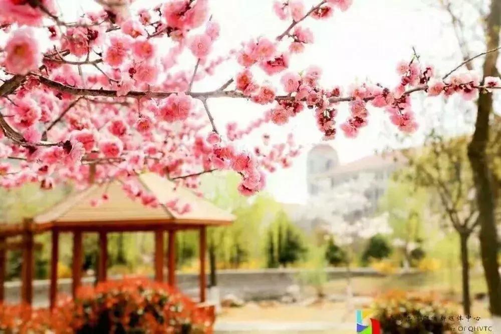 闈掑矝娓咕鑱岄櫌鏂扮敓,闈掑矝娓咕鑱屼笟瀛﹂櫌鍒樻皯