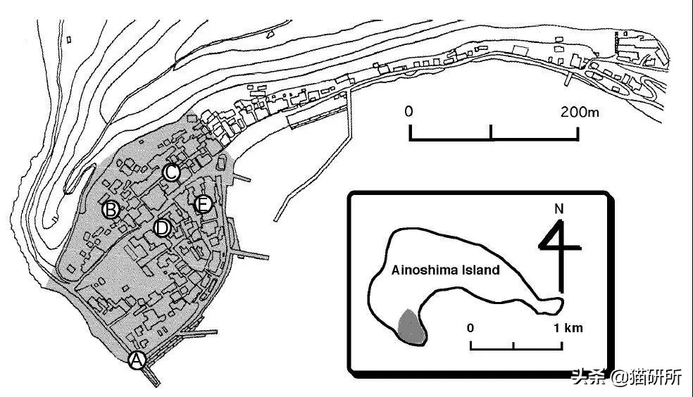 这9个猫界冷知识，你知道么？