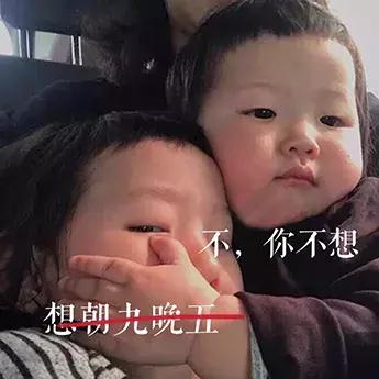 2019年我想对您说,2019我想对你说300字