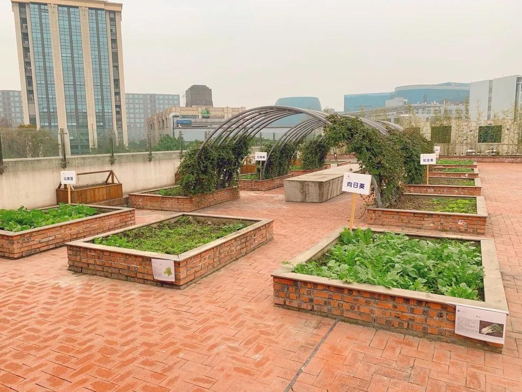 成都武侯探店,成都高性价比民办园