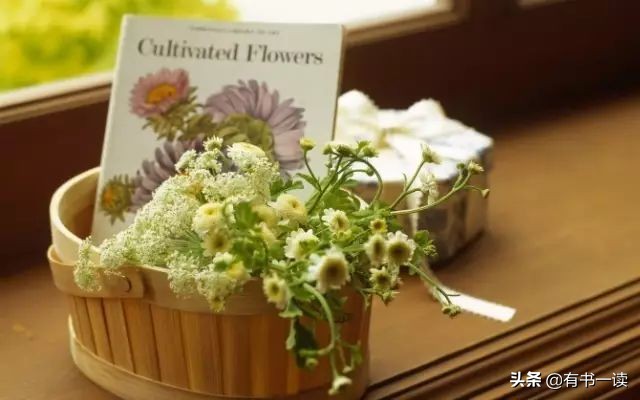 无边的失落与孤独海子诗歌,海子的诗孤独不可言说