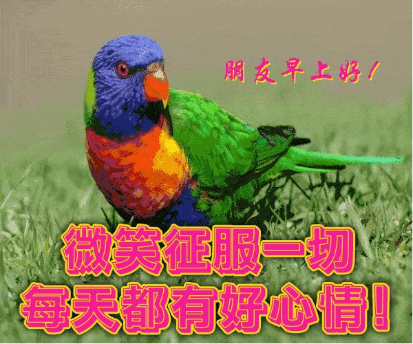 微信早晨最新的早安问候祝福短句,早晨好问候暖心短句祝福图片