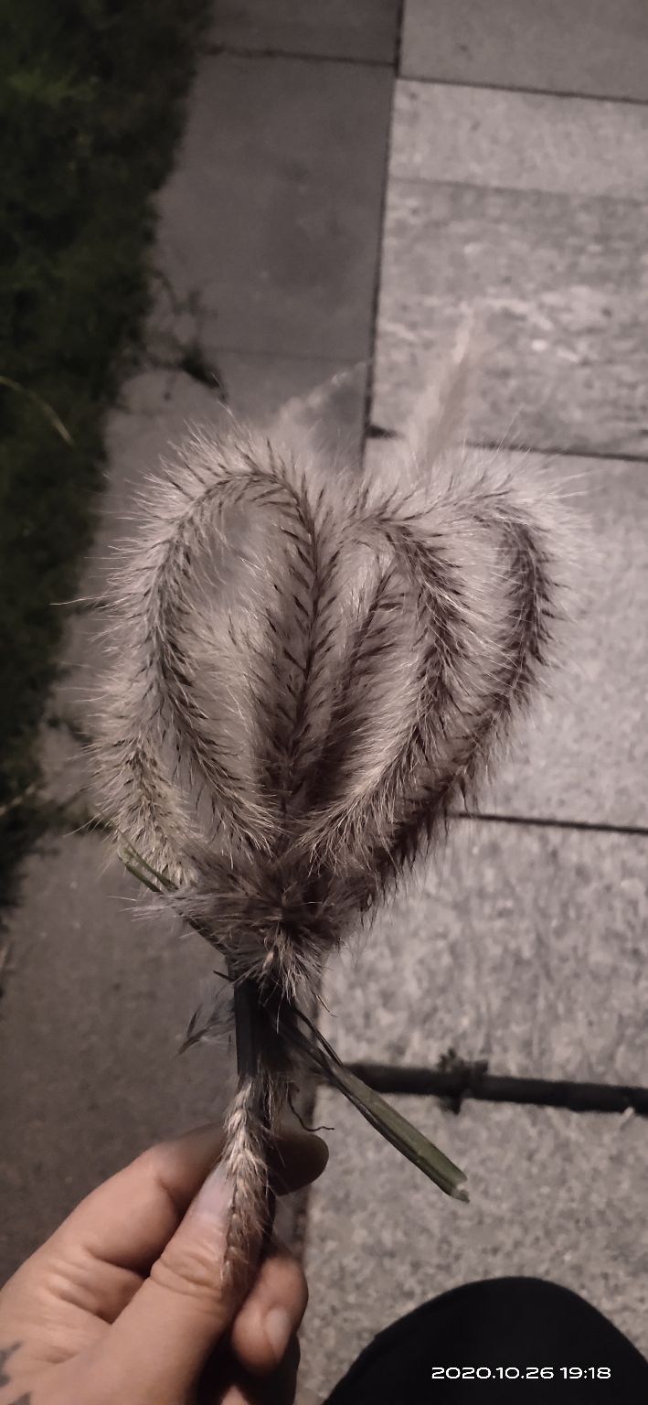 珠海市金湾区三灶二号闸,珠海金湾三灶2号闸