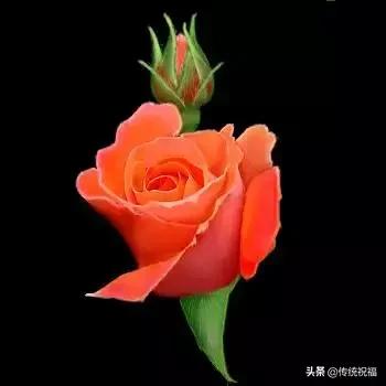 520祝福语表达爱意句句温馨美好,520祝福语送给最在乎的人