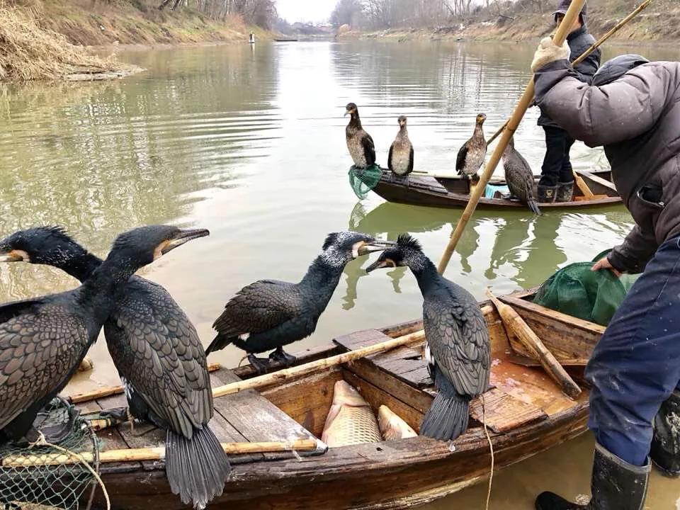 古镇故事大全完整版,古镇街景故事视频