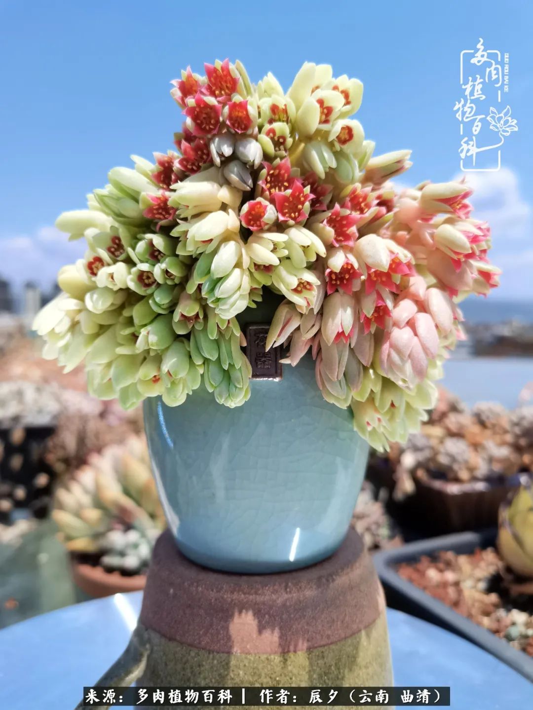 缂辩换鏃栨棊钁宠暏鐢熼,缂辩换鏃栨棊钁宠暏鐢熼鍑哄